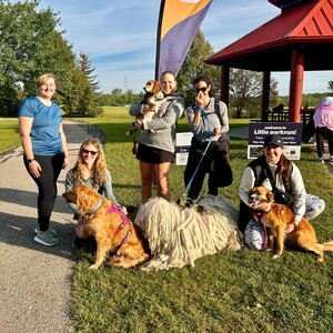 Team Page: Labcorp DiscO